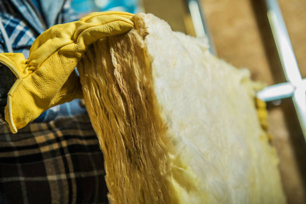 Best Insulation Inspection Services  in Clermont, IN